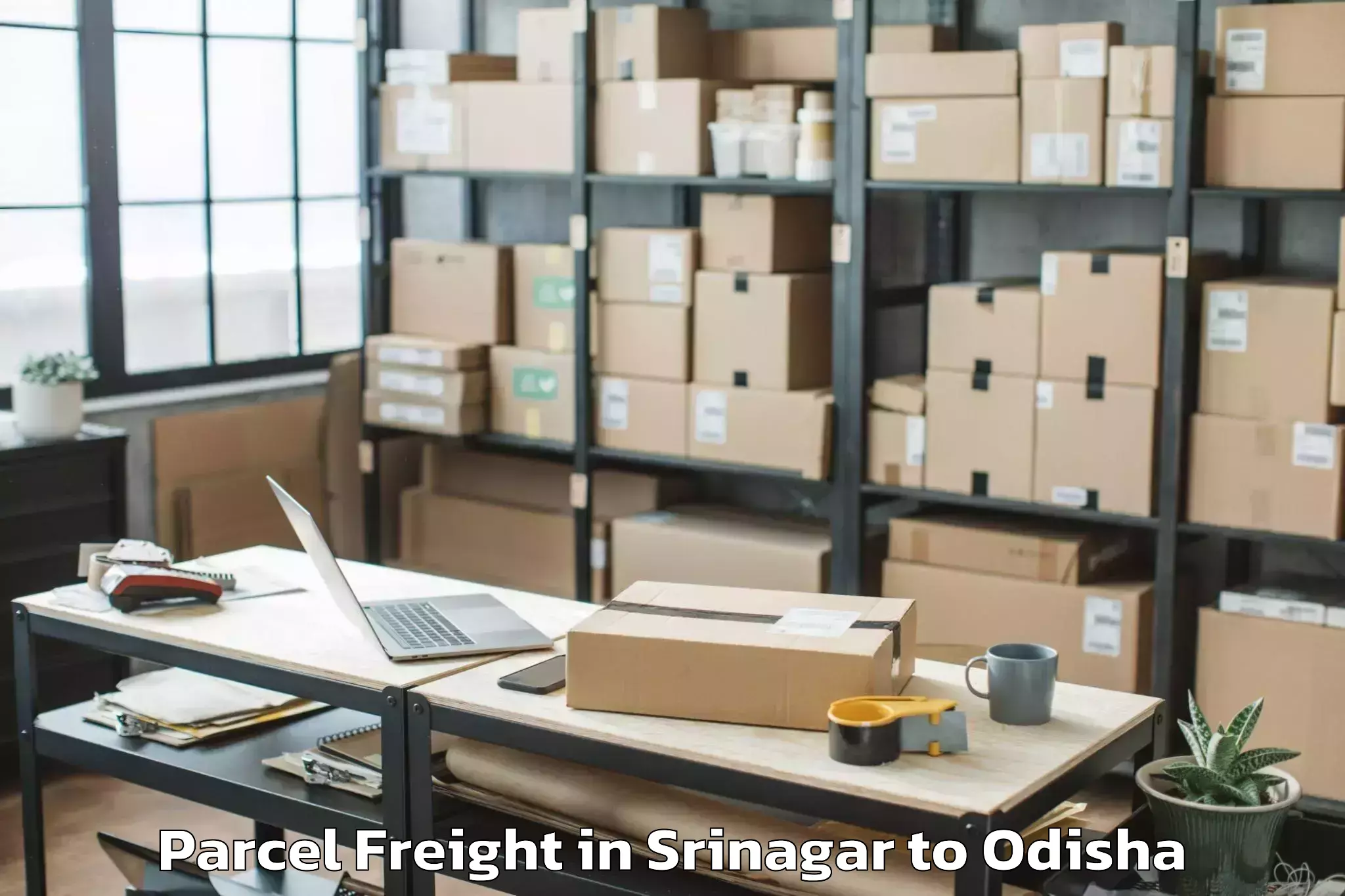 Leading Srinagar to Bhubaneswar Airport Bbi Parcel Freight Provider